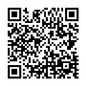 那拥有着洁白和黑暗两对翅膀的老鼠开口说出了自己的想法二维码生成