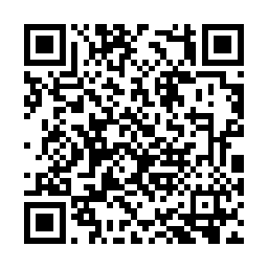 那拳头大小的修士和许紫烟他们比起来显得很弱小二维码生成