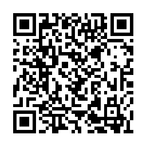 那拳头带着毁灭的力量狠狠的打在了封狮的头上二维码生成