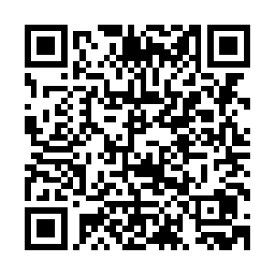那指的应该就是除了西王母所在的那个国度的人之外的其他人二维码生成