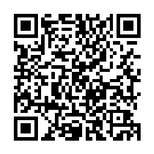 那掩埋在血魔上方的蜘蛛门突然被一股血光给炸飞了出去二维码生成