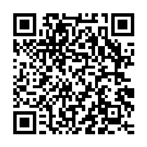 那掩盖在黑袍内的沧桑目光不停的盯着剑尘身上的遁天神甲打量二维码生成