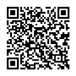 那摇晃龟裂的洞口飞出的光可不就是有不少人么二维码生成