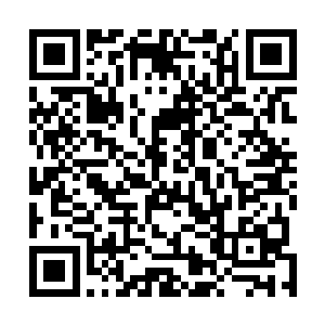 那支墨族援军是打定注意要在近古战场中埋伏我们一波了二维码生成