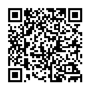 那支特别行动组里的成员可都是一个个黑心冷血的家伙二维码生成