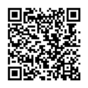 那攻击力极强的花朵树叶却愣是没有损坏周围石壁二维码生成