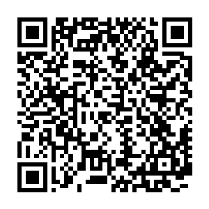 那放置于玉案之上的十二只生肖杯突然一起在白冰儿一拂之下化为齑粉二维码生成
