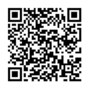 那敬空与一众同门师兄弟们从船舰上缓缓飘下来二维码生成