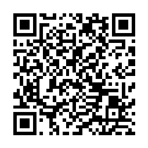 那数万人马可是张坚之在聂功亭芦台练军的基础上发展起来二维码生成