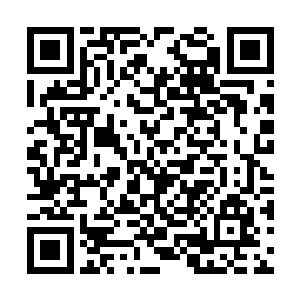 那数之不尽的五行虫也纷纷被这座黑白小山所镇压二维码生成