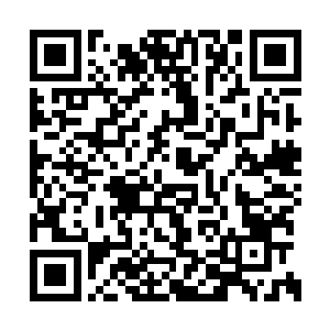 那整个天阵大陆所有的天涯商会都会是我的目标二维码生成
