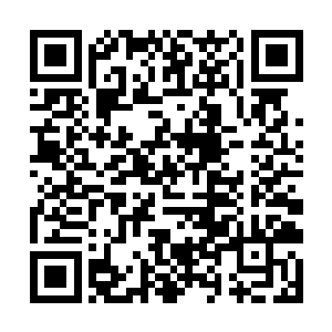 那整齐而震撼的节拍搭配着一张张热情而疯狂的表情二维码生成