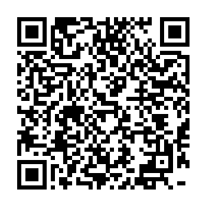 那新来的媳妇在村里待久了自然已经知道了冬琴和那杨铁牛是怎么回事二维码生成