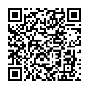 那无尽狂暴的力潮竟是尽数被这造化青云本身吸收去二维码生成