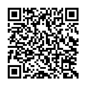 那无尽血水在天空中凝聚出一只超大的血色巨手二维码生成