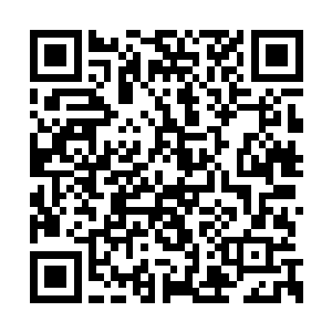 那无心峰当年的祖师爷也是那位绝强者的弟子了二维码生成