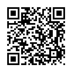 那无数被撕扯破坏后堆在一起的垃圾二维码生成