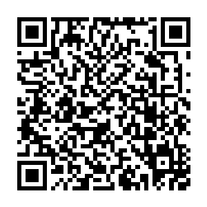 那无比坚固的转生轮盘居然硬生生地被元始天魔给砸出了一道道裂纹二维码生成