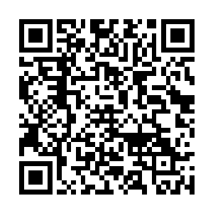 那日日夜夜教导着自己等人的师傅如今战死的战死二维码生成