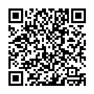 那日月星三族族长在十几日之前就干脆在小城内常住了二维码生成