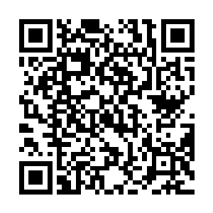 那时候他们三族的定位正是世界树万族之外的特殊种族二维码生成