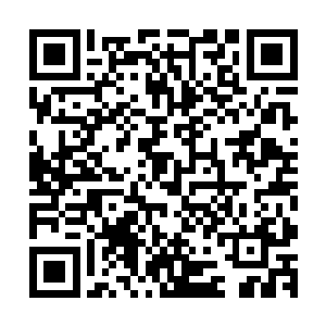 那时候他经常和罗佳一起坐在操场的看台上看跑道上的人锻炼二维码生成