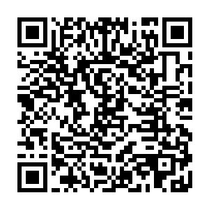 那时候他还以为周狼顶多和他们大龙头龙傲天一样是武学宗师巅峰的修为二维码生成