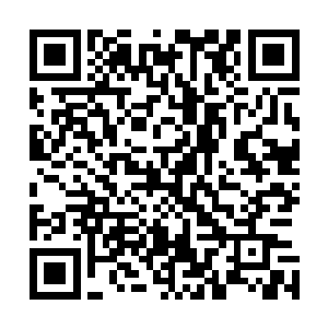 那时候天之境还没有因为寻找她而将那片仙域整个清扫一趟二维码生成