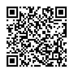 那时候徐凤年遇上了一个叫嚣着要学剑的小叫花子二维码生成