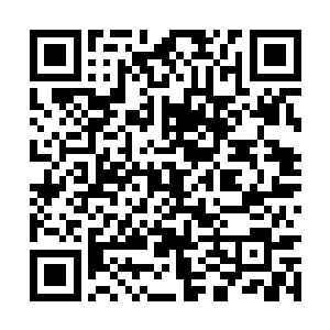 那时候我们的祖先刚刚从被毁灭的家园逃出来不久二维码生成