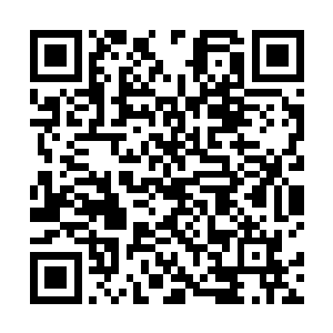 那时候我就知道这世上再也不会有比他更优秀的男子了二维码生成