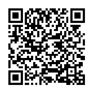 那时候曾省吾还在家乡做秀才时就已闻得山阴徐渭的大名二维码生成