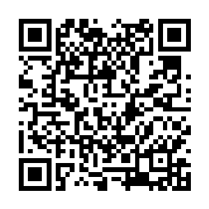 那时候最好的保姆机器人就是这个型号的机器人了二维码生成