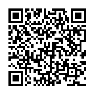 那时候的冰雪生命不过是进化成长的方向不一样的一种生命二维码生成