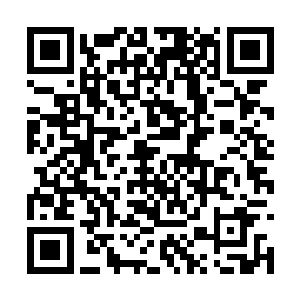 那时候的县城大酒店就是用来招待那些官职人员的二维码生成