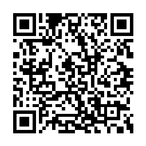 那时候绝对不会想到现在已经和林凡在滚床单了二维码生成