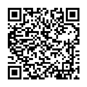 那时候自己的这些伤应该早就恢复得无影无踪了……二维码生成