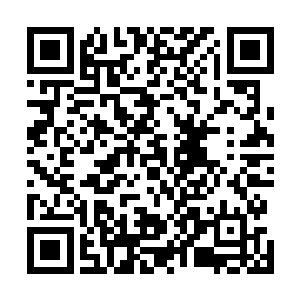 那时候还真是这颗星球上的孤魂野鬼一般被撵得鸡飞狗跳二维码生成