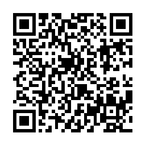 那时候面对她的自信轻松游刃有余都不知道哪里去了二维码生成