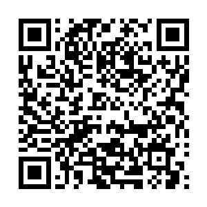 那时她们早已忘了自己是主神给她们为自己人生逆袭的机会二维码生成