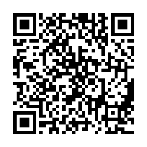 那时的鲛族少女也是用这样美丽的眸子略带疑惑的看向他二维码生成