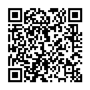 那时说起这位灵兽天尊可是让修真界人人自危的大人物二维码生成