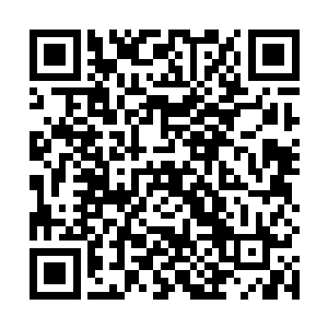 那时道便请出了他来到这个世界游历之时结交的一个人二维码生成