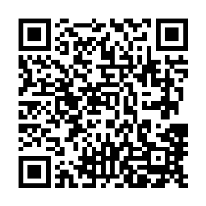 那明明是他家表妹他家二嫂的好朋友华国公府的华小姐啊啊二维码生成