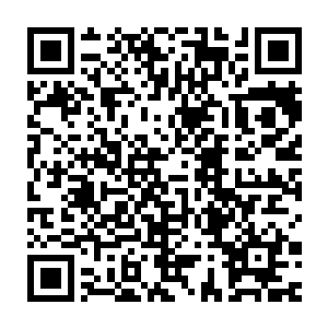 那明显不平静的情绪混合在神念直接在流墨墨他们几人的头顶炸开二维码生成