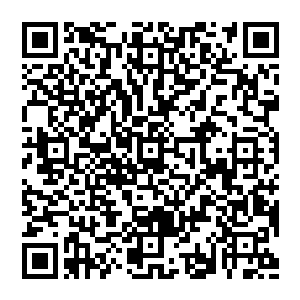 那是一个黑色大锤 其上透出股股的威压 虽然被风清扬抓在手中 但却依旧不停的震动 想要从他手中挣脱而去二维码生成