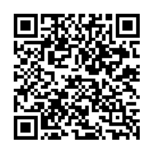 那是一只和他接触过的几只水母模样不一样的水母二维码生成