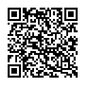 那是一名……看起来已有五十岁左右的蓝袍老者二维码生成