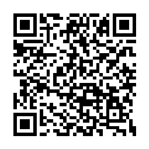 那是一种在猫女这个角色上面从未有人尝试过的二维码生成