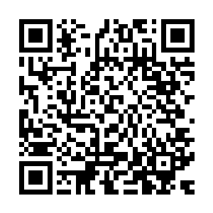 那是一种纯血血族内一些极高天赋的人才可能出现的天赋能力二维码生成